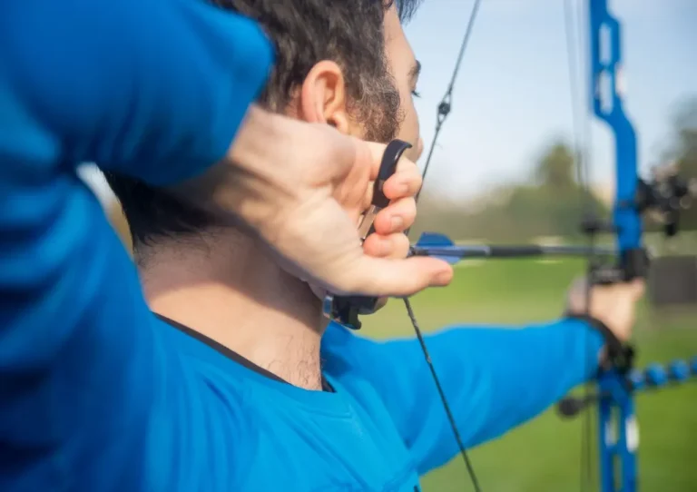 6 Best Bow Sights for Your Compound Bow: Single Pin Sights and More