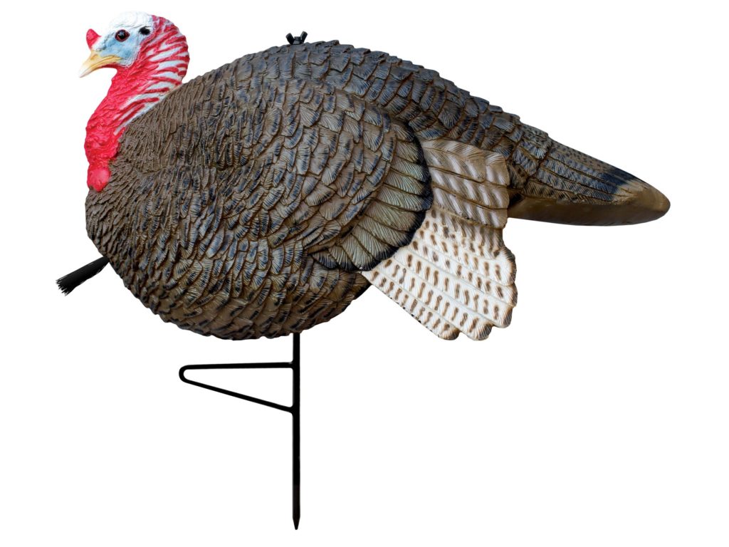 turkey decoy